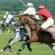 What to Wear to a Polo Match