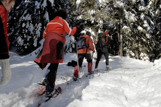 Snowshoeing