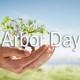 How To Celebrate Arbor Day